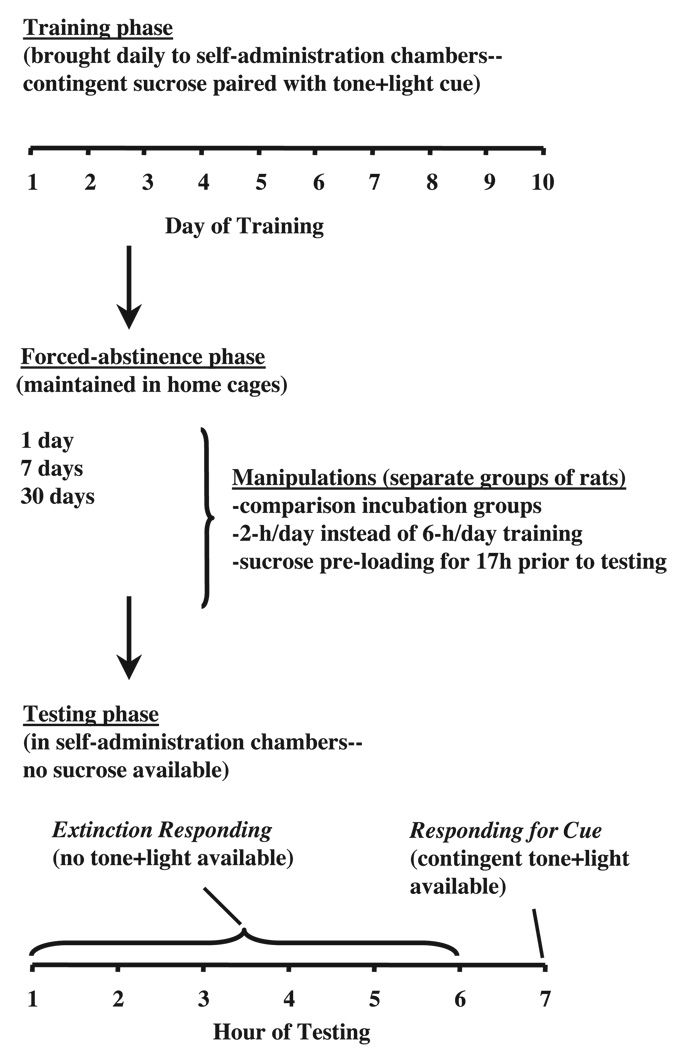 Fig.1