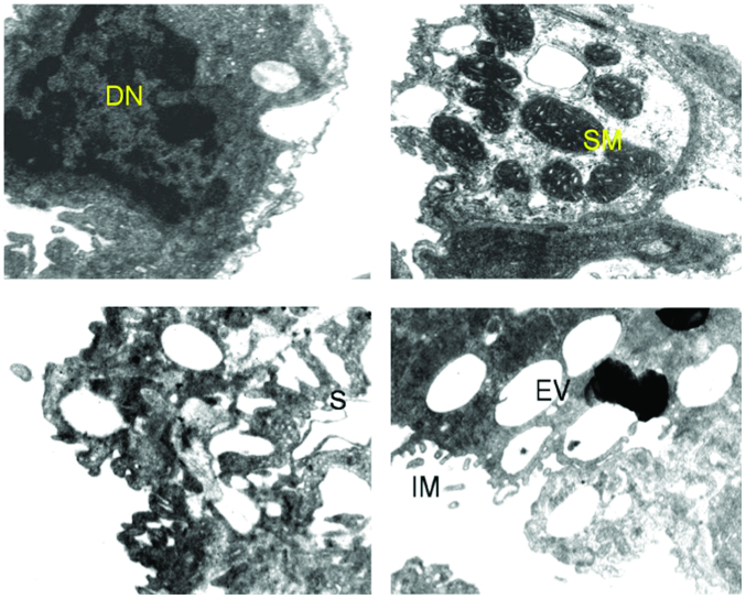 Figure 3.