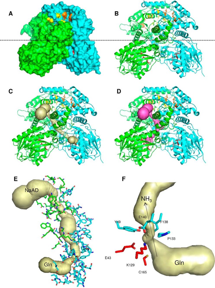 Figure 6.