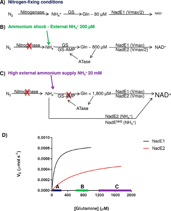 Figure 7.