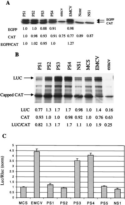 FIG. 4