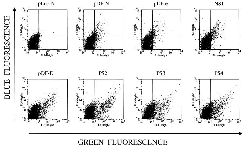 FIG. 3