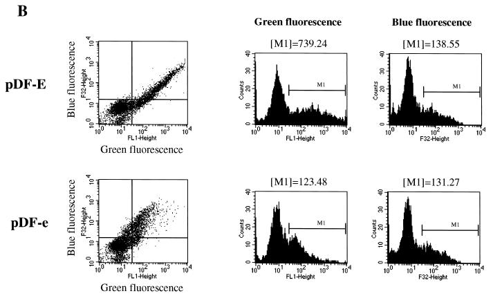 FIG. 1