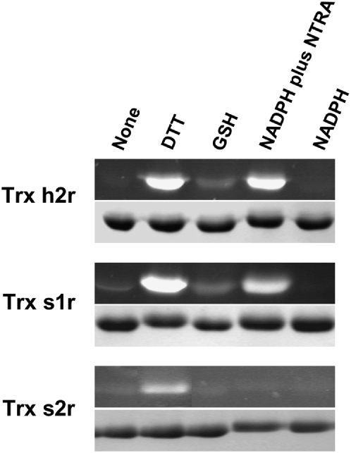 Figure 5.