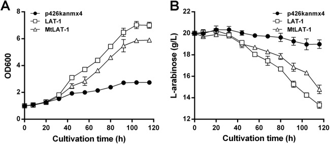 FIG 6