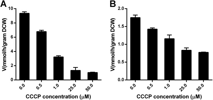 FIG 4