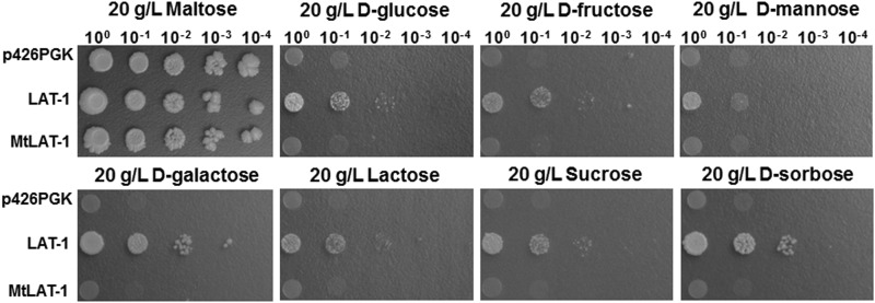 FIG 2