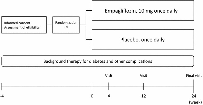 Fig. 1