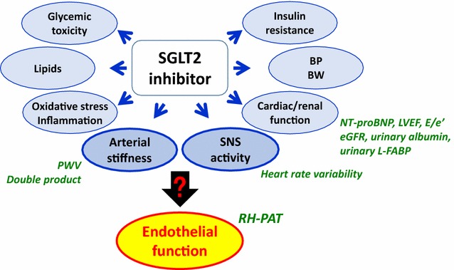 Fig. 2