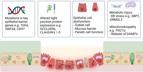 Figure 2.