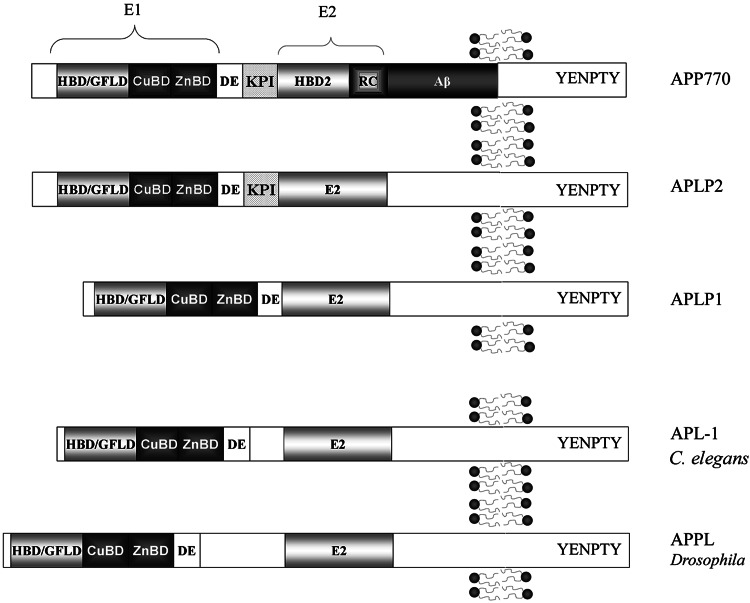 Fig. 1