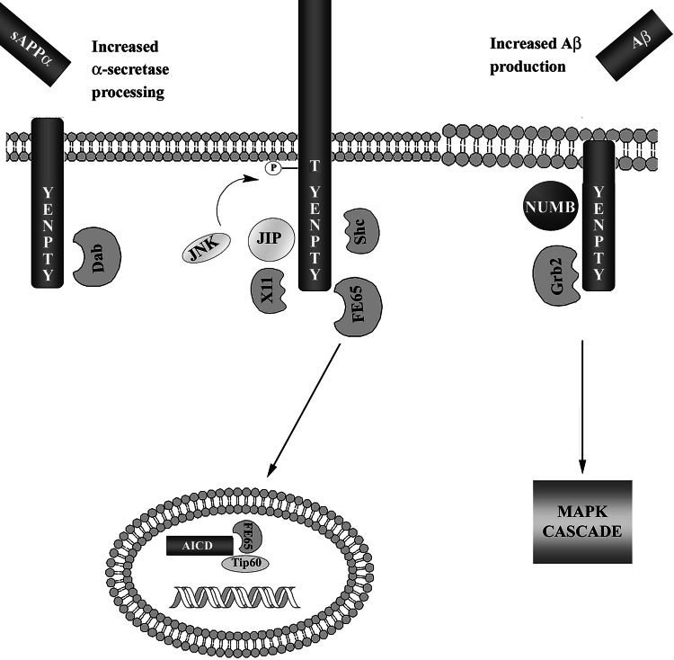 Fig. 4