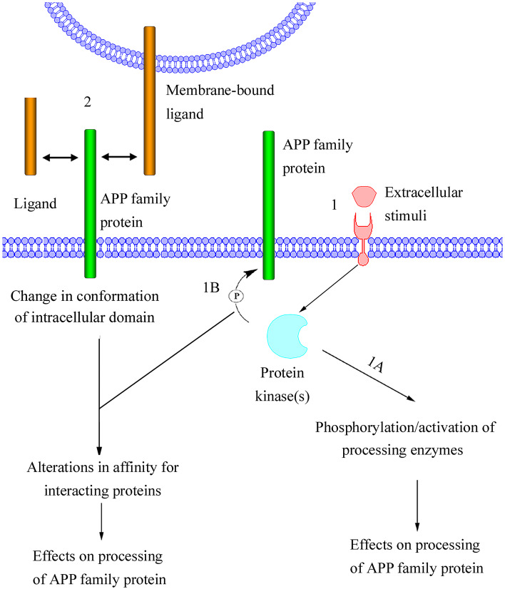 Fig. 6