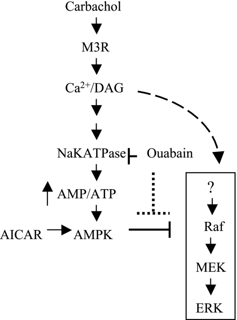 Fig. 10.