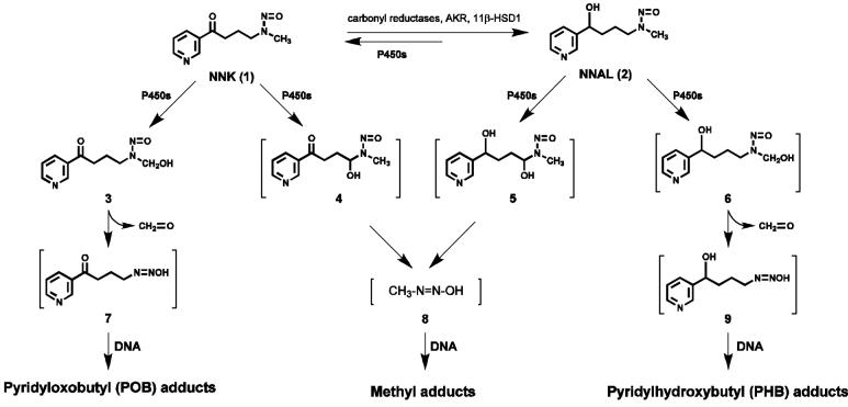 Scheme 1