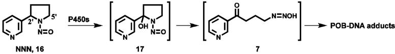 Scheme 2