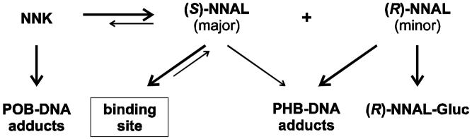 Scheme 3