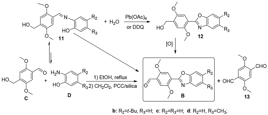 Scheme 3.