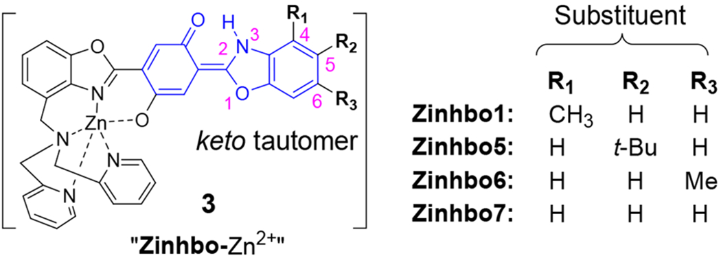 Scheme 5.