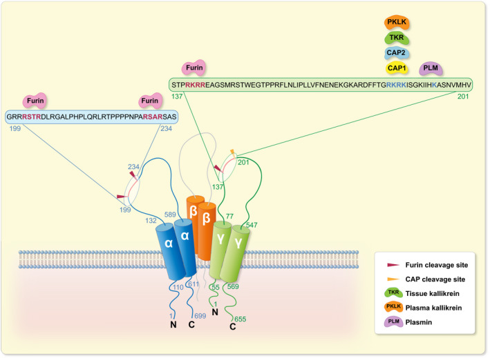 FIGURE 3