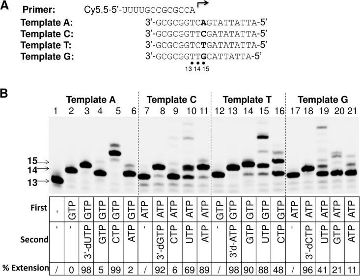 FIG 8