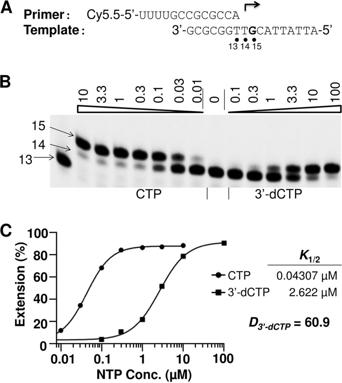 FIG 6