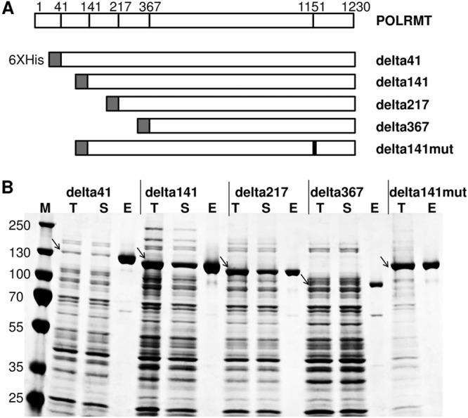 FIG 1