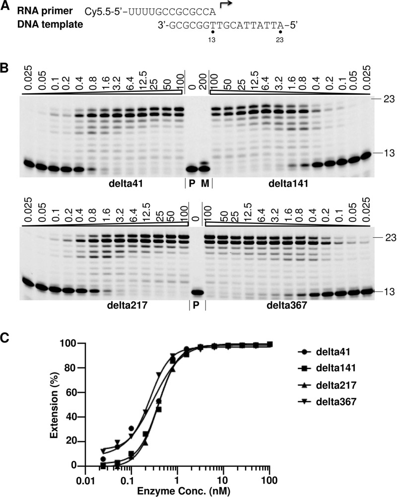 FIG 2