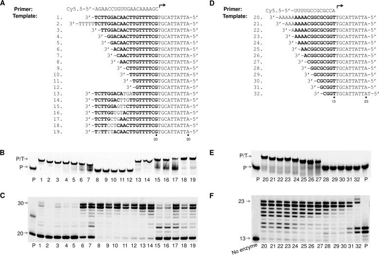 FIG 3