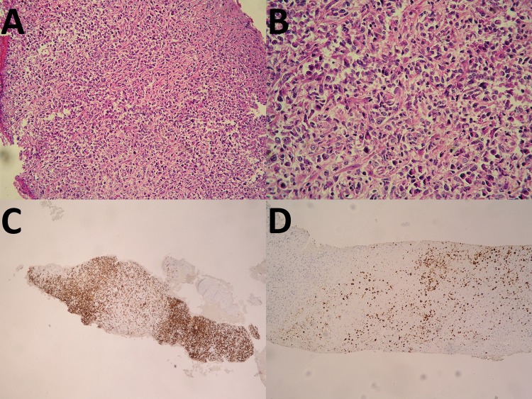 Figure 2