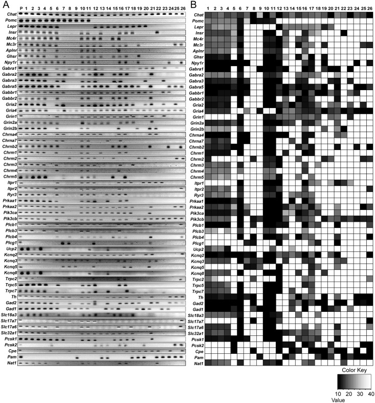 Fig 2