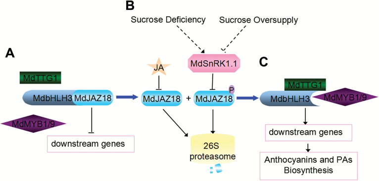 Fig. 6.