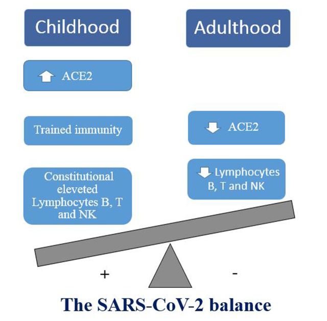 FIGURE 1