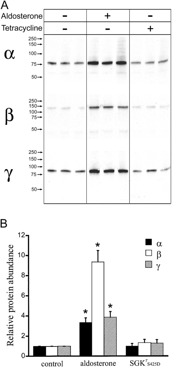 Figure 9. 