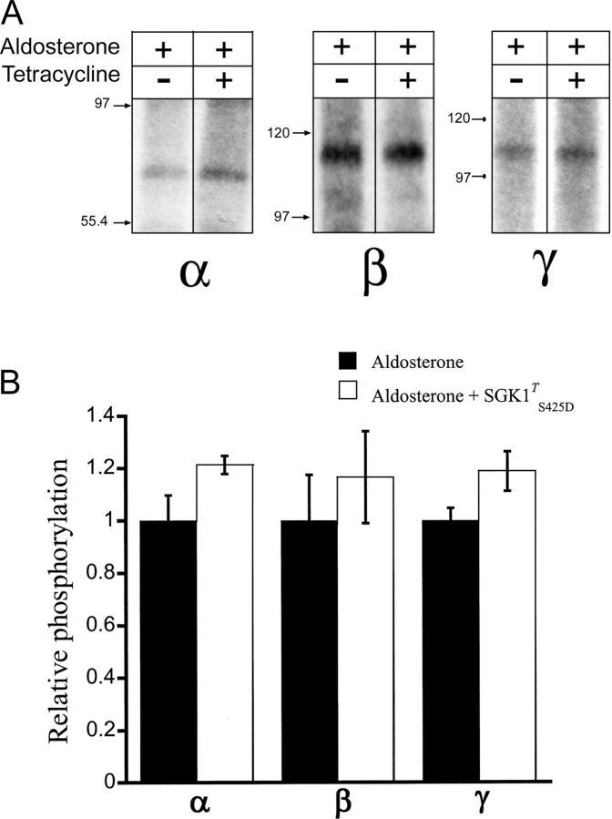 Figure 10. 