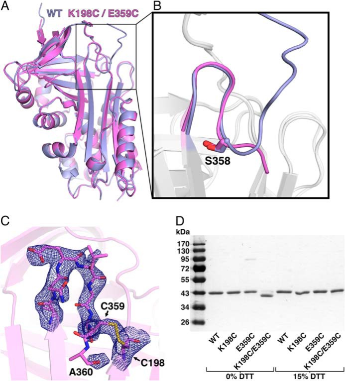 FIGURE 4.