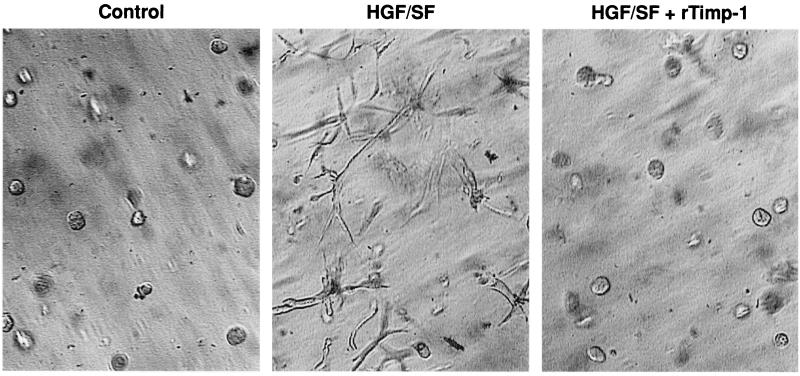 FIG. 9