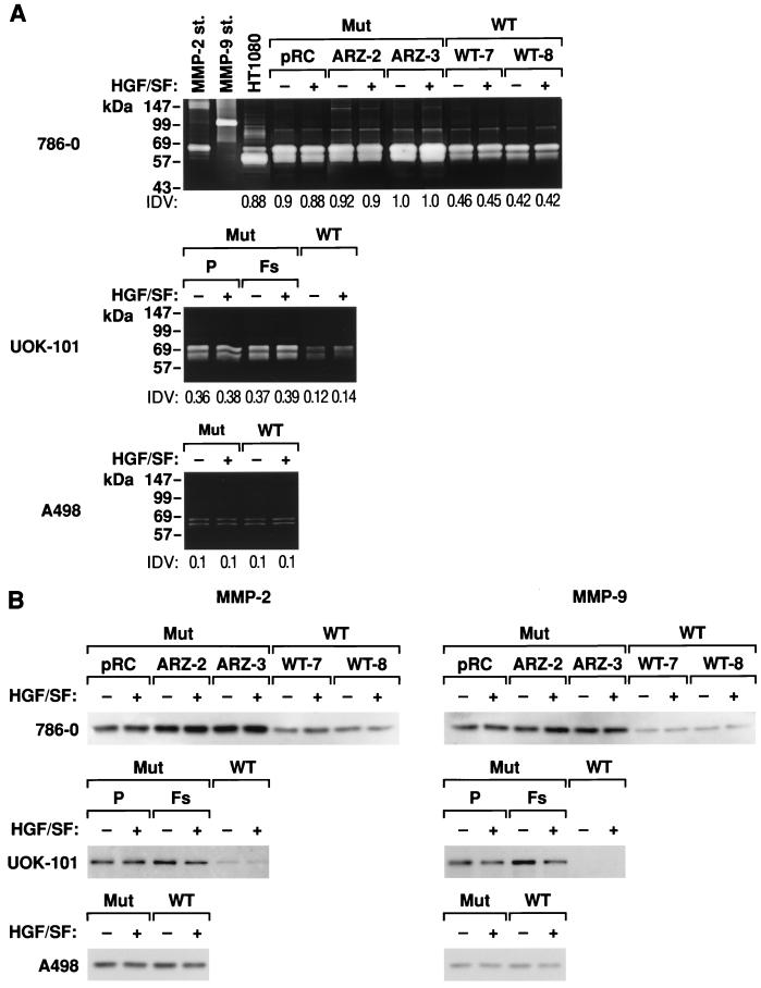 FIG. 6