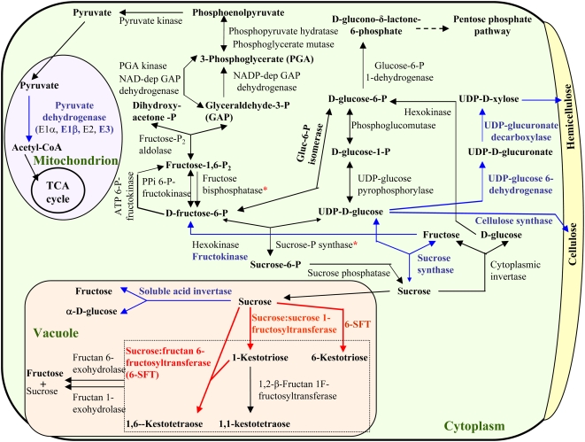 Figure 4.