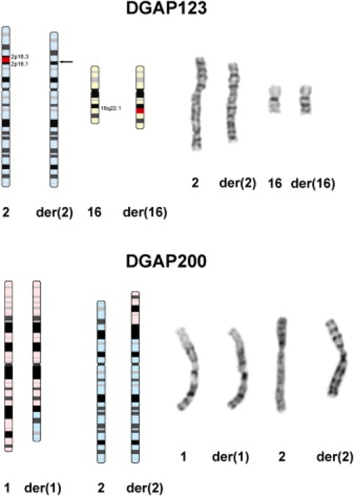 Figure 1