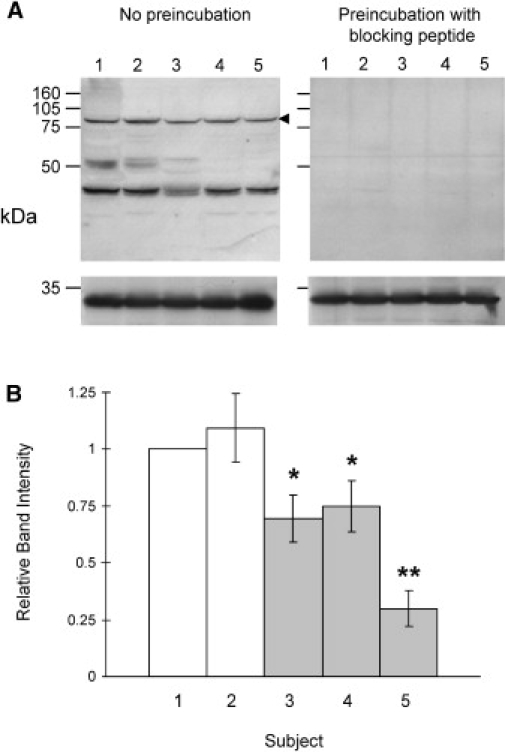 Figure 7