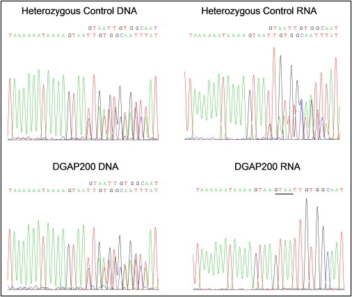 Figure 6