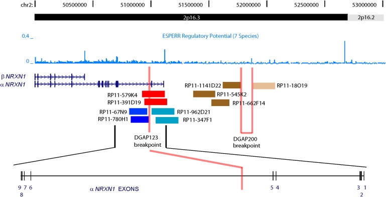 Figure 4