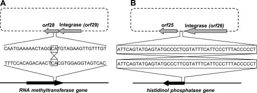 FIG. 6.