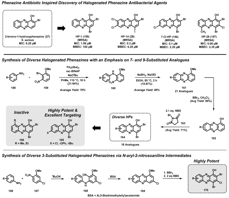 Scheme 15