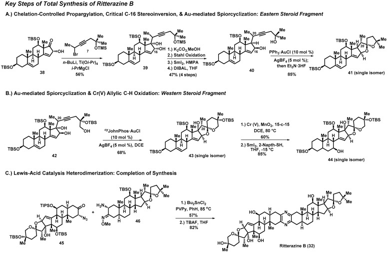 Scheme 2