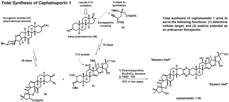 Scheme 3