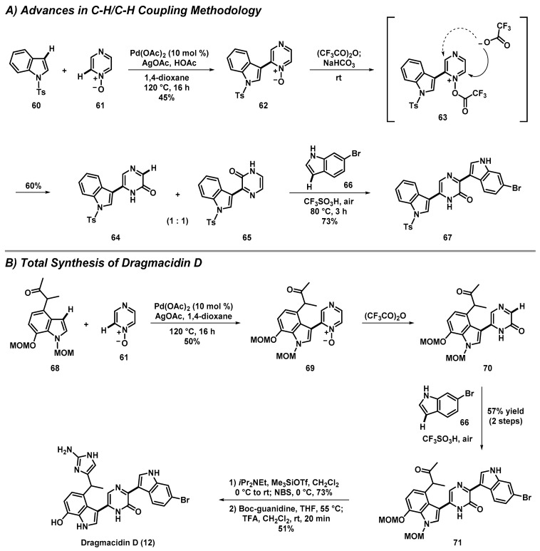 Scheme 5