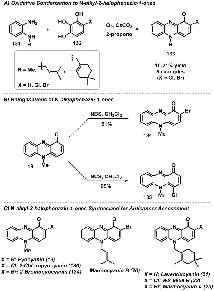 Scheme 12