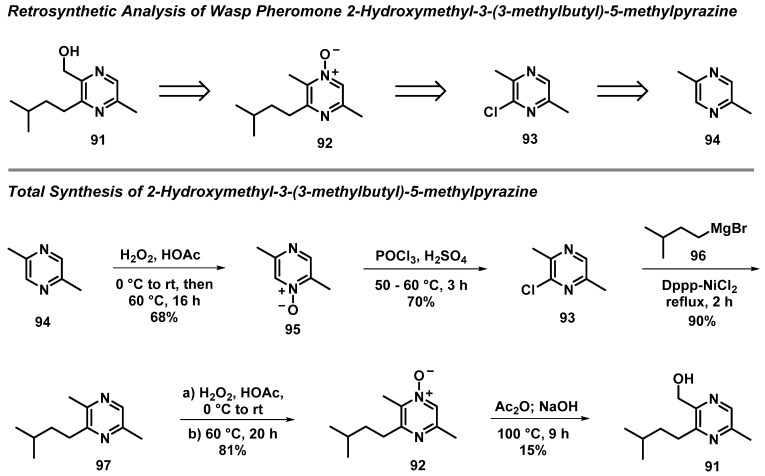 Scheme 8